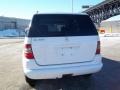 Polar White - ML 320 4Matic Photo No. 6