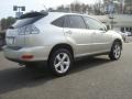 Millennium Silver Metallic - RX 350 AWD Photo No. 6