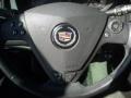 Sable Black - CTS Sedan Photo No. 19