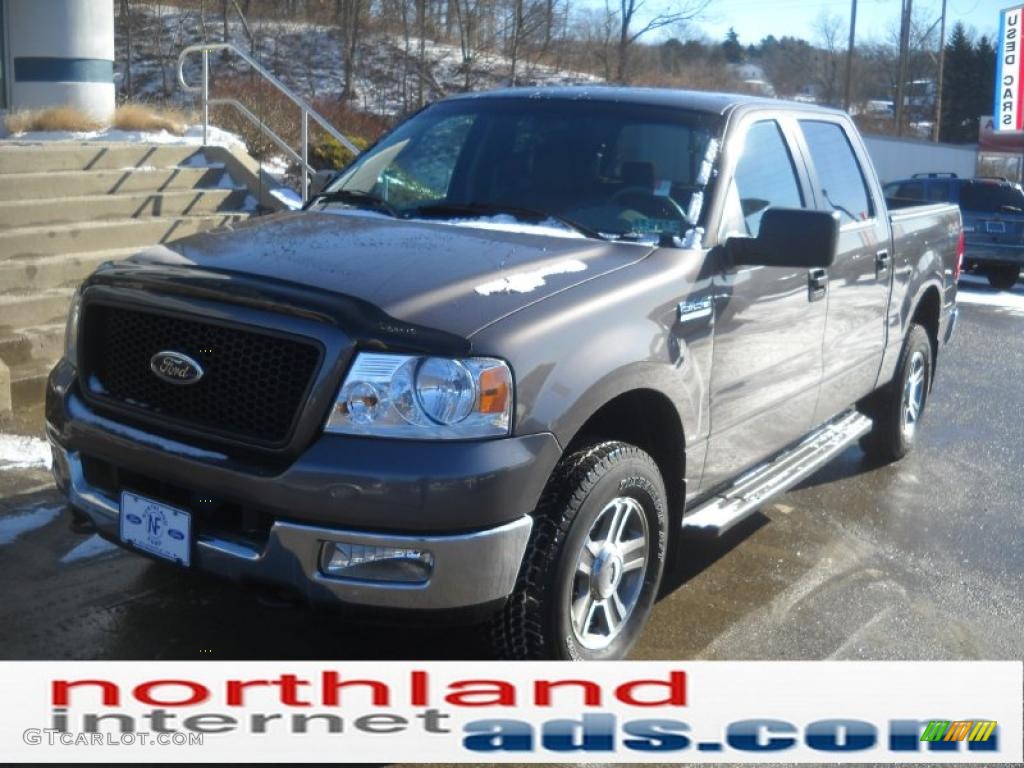 2005 F150 XLT SuperCrew 4x4 - Dark Shadow Grey Metallic / Medium Flint Grey photo #2