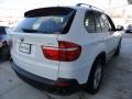 Alpine White - X5 3.0si Photo No. 6