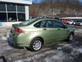 Kiwi Green - Focus SE Sedan Photo No. 2