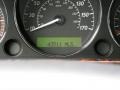 Platinum Silver Metallic - XJ Vanden Plas Photo No. 25