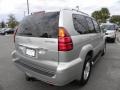 Silver Pine Metallic - GX 470 Photo No. 15