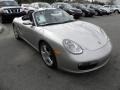 Arctic Silver Metallic - Boxster  Photo No. 1