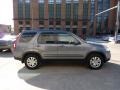 Pewter Pearl - CR-V SE 4WD Photo No. 5