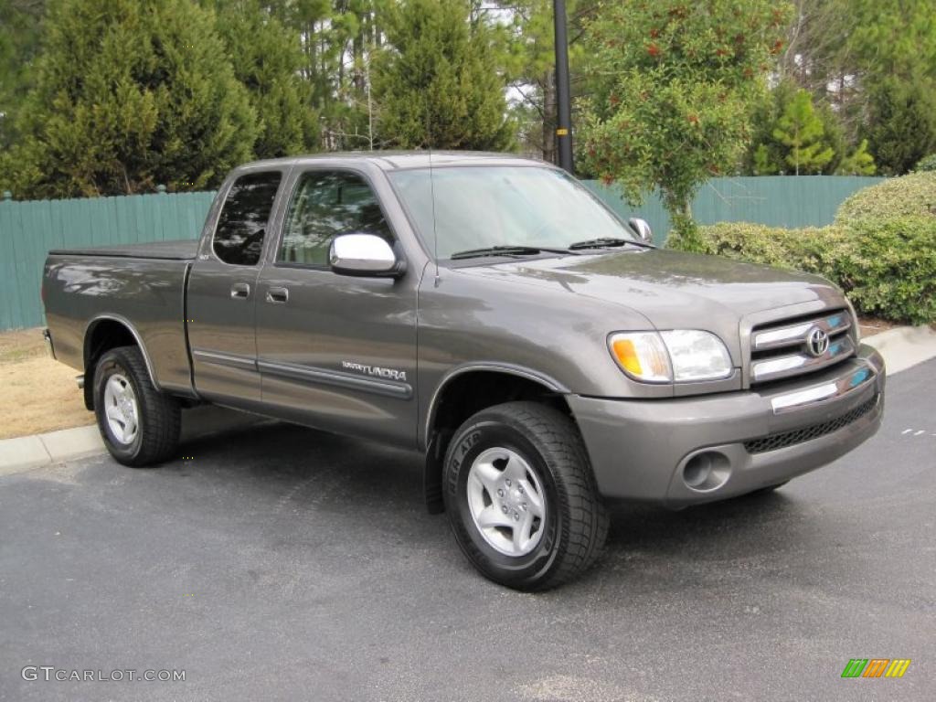 2003 Tundra SR5 Access Cab 4x4 - Phantom Gray Pearl / Oak photo #2