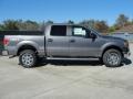 Sterling Grey Metallic 2011 Ford F150 Texas Edition SuperCrew 4x4 Exterior