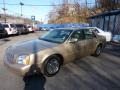 Light Cashmere - DeVille Sedan Photo No. 1