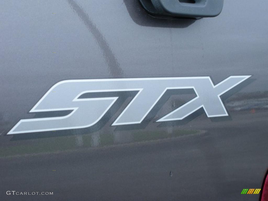 2006 F150 STX Regular Cab - Dark Shadow Grey Metallic / Medium/Dark Flint photo #10