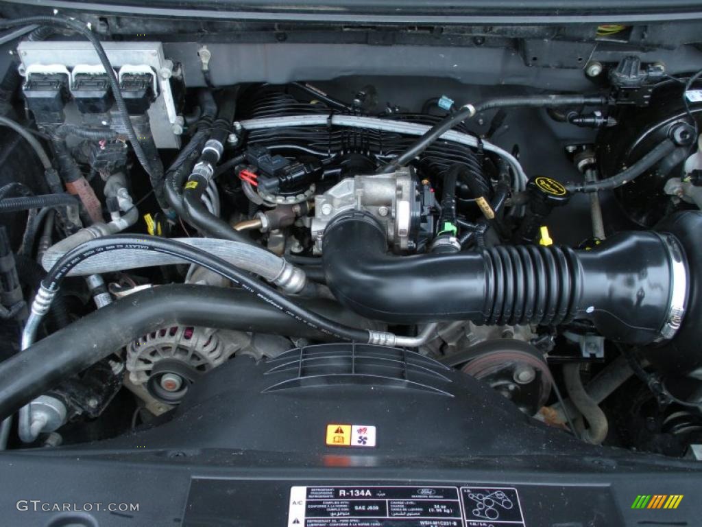 2006 Ford F150 STX Regular Cab 4.2 Liter OHV 12V Essex V6 Engine Photo #44786294