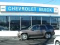 2008 Graystone Metallic Chevrolet TrailBlazer LT 4x4  photo #1