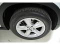 Alpine White - X5 3.0si Photo No. 3
