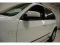 Alpine White - X5 3.0si Photo No. 13