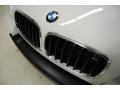 Alpine White - X5 3.0si Photo No. 14