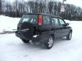 Flamenco Black Pearl - CR-V EX 4WD Photo No. 4
