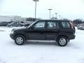 Flamenco Black Pearl - CR-V EX 4WD Photo No. 7