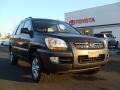 Smokey Brown 2007 Kia Sportage EX V6