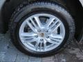 Jarama Beige Metallic - Cayenne S Photo No. 10