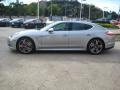 Platinum Silver Metallic - Panamera Turbo Photo No. 2