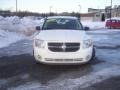 Stone White - Caliber SXT Photo No. 2