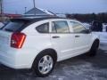 Stone White - Caliber SXT Photo No. 4