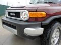 2010 Brick Red Toyota FJ Cruiser 4WD  photo #9