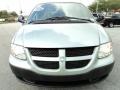 2003 Satin Jade Pearl Dodge Caravan SE  photo #16