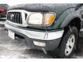 Imperial Jade Green Mica - Tacoma V6 Xtracab 4x4 Photo No. 30