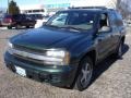 Dark Green Metallic - TrailBlazer LS 4x4 Photo No. 1