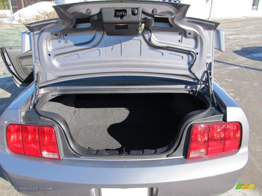 2006 Mustang V6 Premium Coupe - Tungsten Grey Metallic / Dark Charcoal photo #11