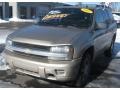 Sandstone Metallic - TrailBlazer LS 4x4 Photo No. 1