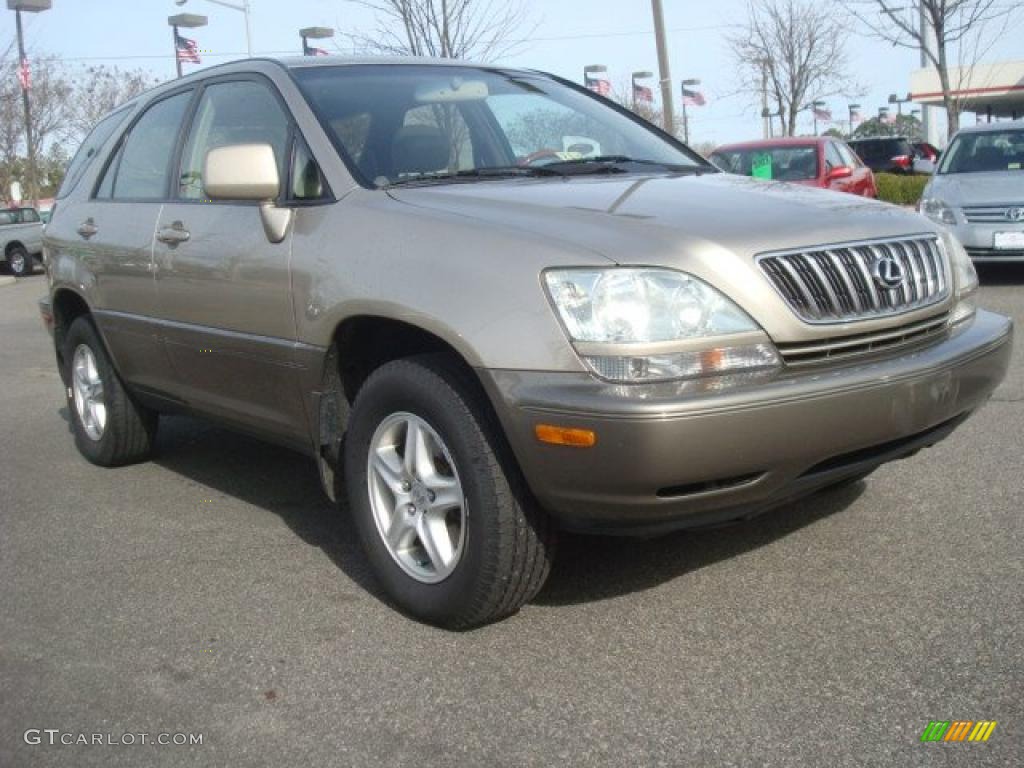 2001 RX 300 - Burnished Gold Metallic / Ivory photo #1