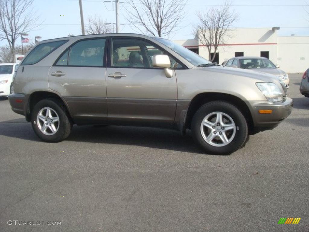 2001 RX 300 - Burnished Gold Metallic / Ivory photo #2