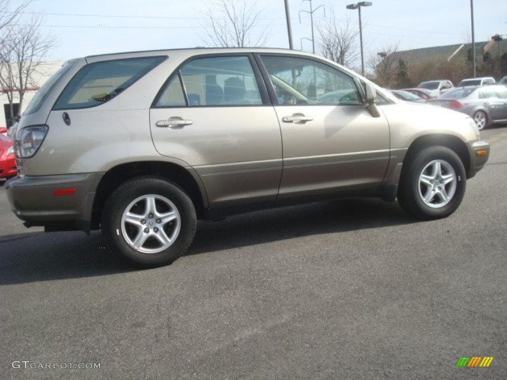 2001 RX 300 - Burnished Gold Metallic / Ivory photo #3