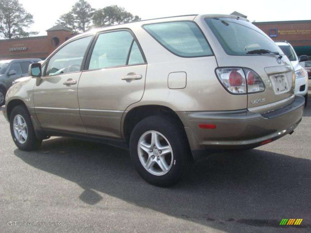 2001 RX 300 - Burnished Gold Metallic / Ivory photo #5