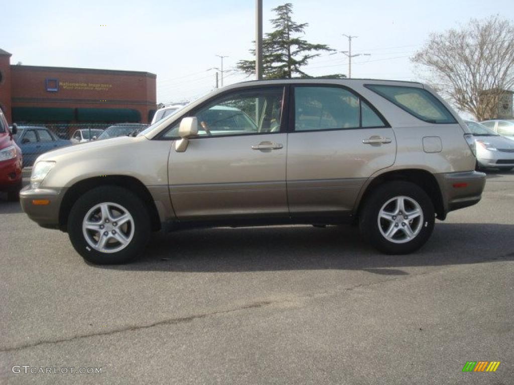 2001 RX 300 - Burnished Gold Metallic / Ivory photo #6