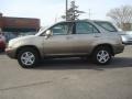 2001 Burnished Gold Metallic Lexus RX 300  photo #6
