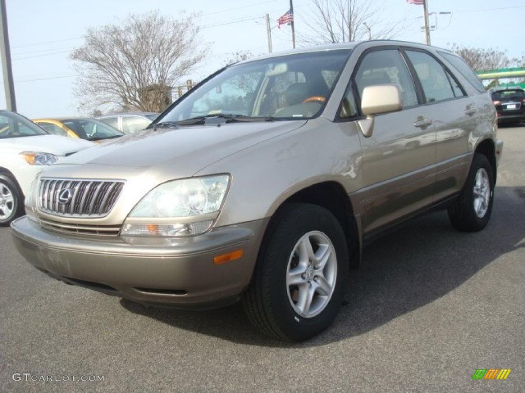 2001 RX 300 - Burnished Gold Metallic / Ivory photo #7