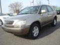 2001 Burnished Gold Metallic Lexus RX 300  photo #7