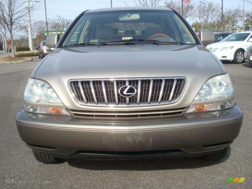 2001 RX 300 - Burnished Gold Metallic / Ivory photo #8