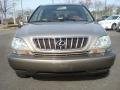 2001 Burnished Gold Metallic Lexus RX 300  photo #8