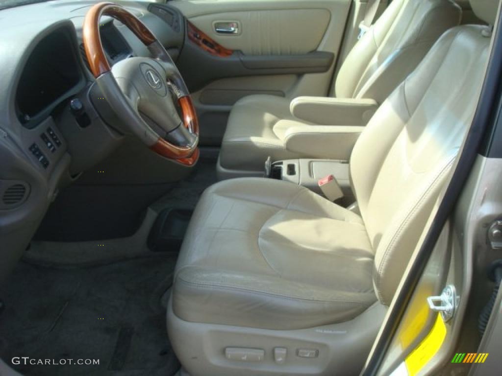 2001 RX 300 - Burnished Gold Metallic / Ivory photo #9