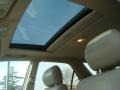 2001 Burnished Gold Metallic Lexus RX 300  photo #10