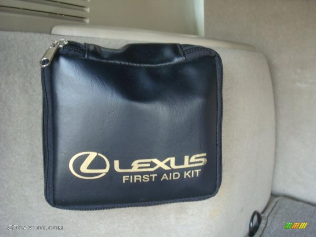 2001 RX 300 - Burnished Gold Metallic / Ivory photo #14