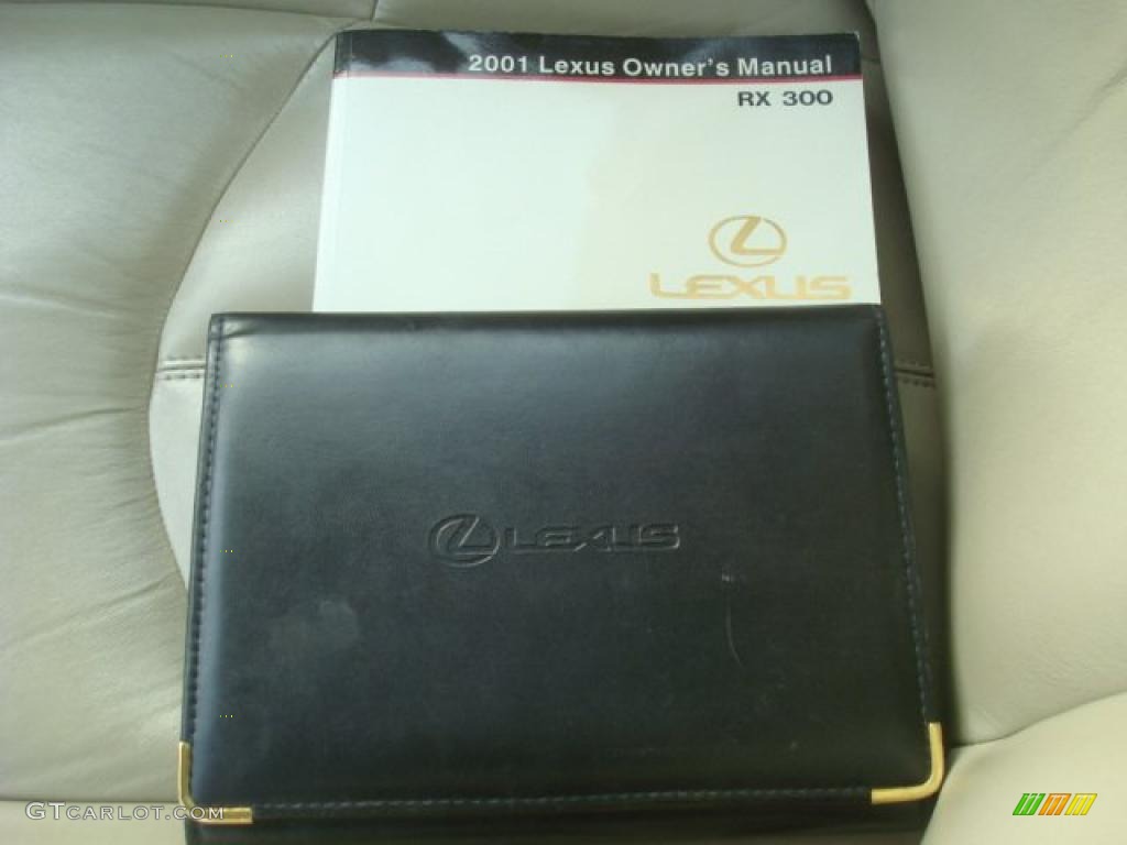 2001 RX 300 - Burnished Gold Metallic / Ivory photo #21