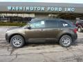 Earth Metallic - Edge SEL AWD Photo No. 1
