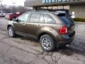 Earth Metallic - Edge SEL AWD Photo No. 2