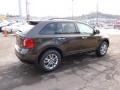 Earth Metallic 2011 Ford Edge SEL AWD Exterior