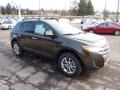 Earth Metallic 2011 Ford Edge SEL AWD Exterior
